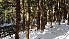 p2140299_thumb.jpg