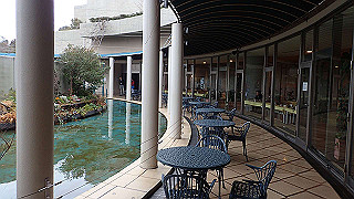 p2220499_thumb.jpg