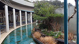 p2220508_thumb.jpg
