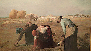 p2220970_thumb.jpg