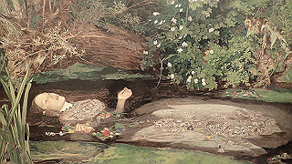 p2221033_thumb.jpg