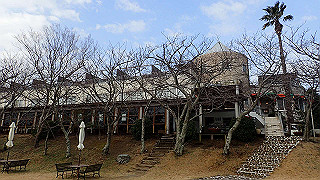 p2231366_thumb.jpg