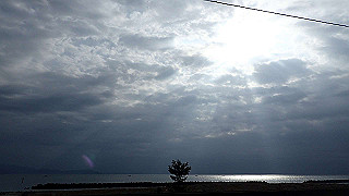 p2231377_thumb.jpg