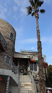 p2231380_thumb.jpg