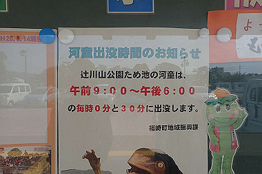 p3060493_thumb.jpg