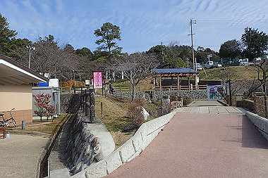 p3060495_thumb.jpg