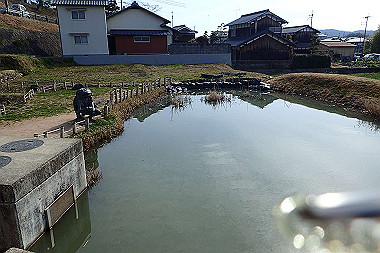 p3060498_thumb.jpg