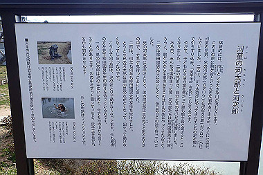 p3060502_thumb.jpg