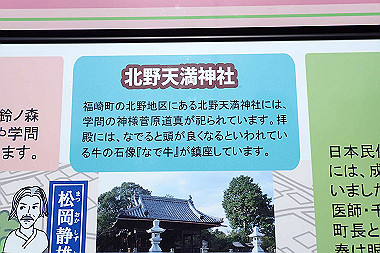 p3060515_thumb.jpg