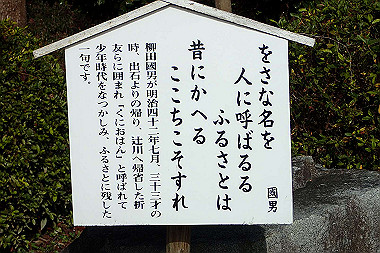 p3060520_thumb.jpg