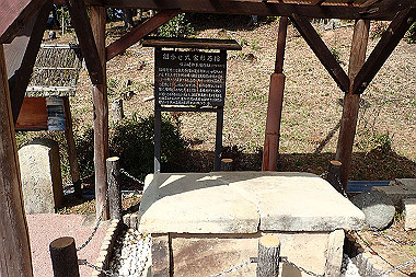 p3060549_thumb.jpg