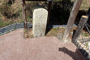p3060550_thumb.jpg