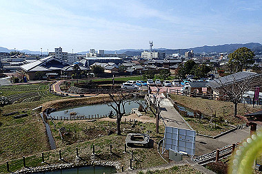 p3060554_thumb.jpg