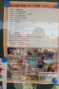 p3060560_thumb.jpg