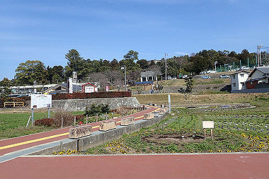 p3060562_thumb.jpg