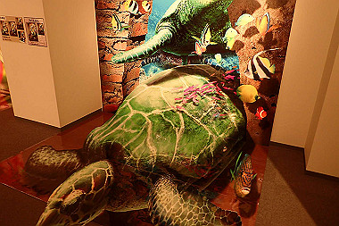 p3060705_thumb.jpg