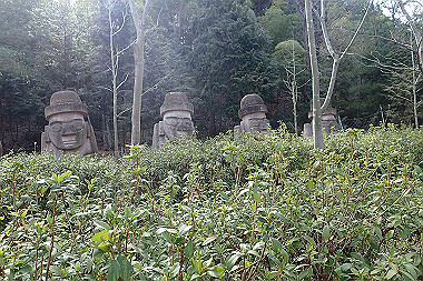 p3060797_thumb.jpg