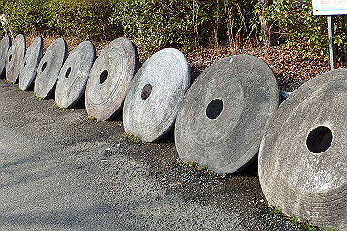p3060847_thumb.jpg