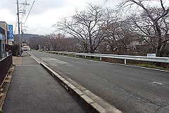 p3080498_thumb.jpg