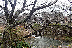 p3080502_thumb.jpg