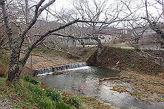 p3080503_thumb.jpg