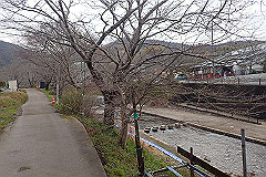 p3080504_thumb.jpg