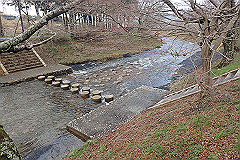 p3080506_thumb.jpg