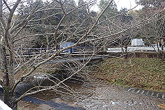 p3080507_thumb.jpg
