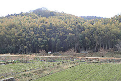 p3080511_thumb.jpg