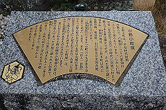 p3080518_thumb.jpg