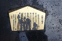p3080521_thumb.jpg