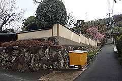 p3080523_thumb.jpg