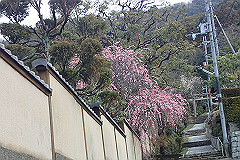 p3080524_thumb.jpg