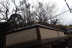 p3080526_thumb.jpg