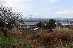 p3080527_thumb.jpg