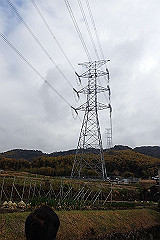 p3080529_thumb.jpg