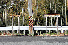 p3080533_thumb.jpg