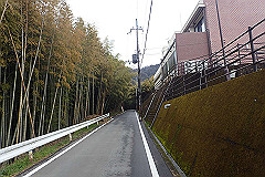 p3080534_thumb.jpg