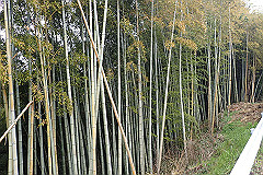 p3080535_thumb.jpg