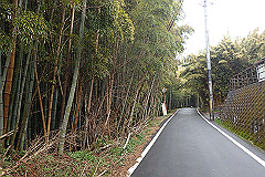 p3080536_thumb.jpg