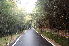 p3080537_thumb.jpg
