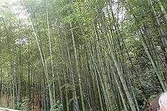 p3080539_thumb.jpg