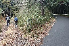 p3080541_thumb.jpg