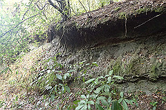 p3080543_thumb.jpg