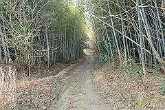 p3080544_thumb.jpg