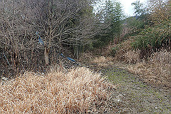 p3080545_thumb.jpg
