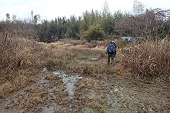 p3080547_thumb.jpg