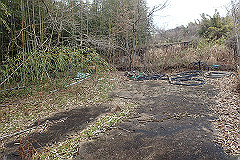 p3080548_thumb.jpg