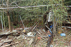 p3080549_thumb.jpg