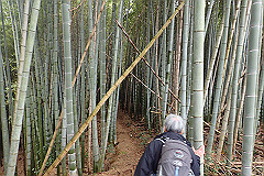 p3080551_thumb.jpg
